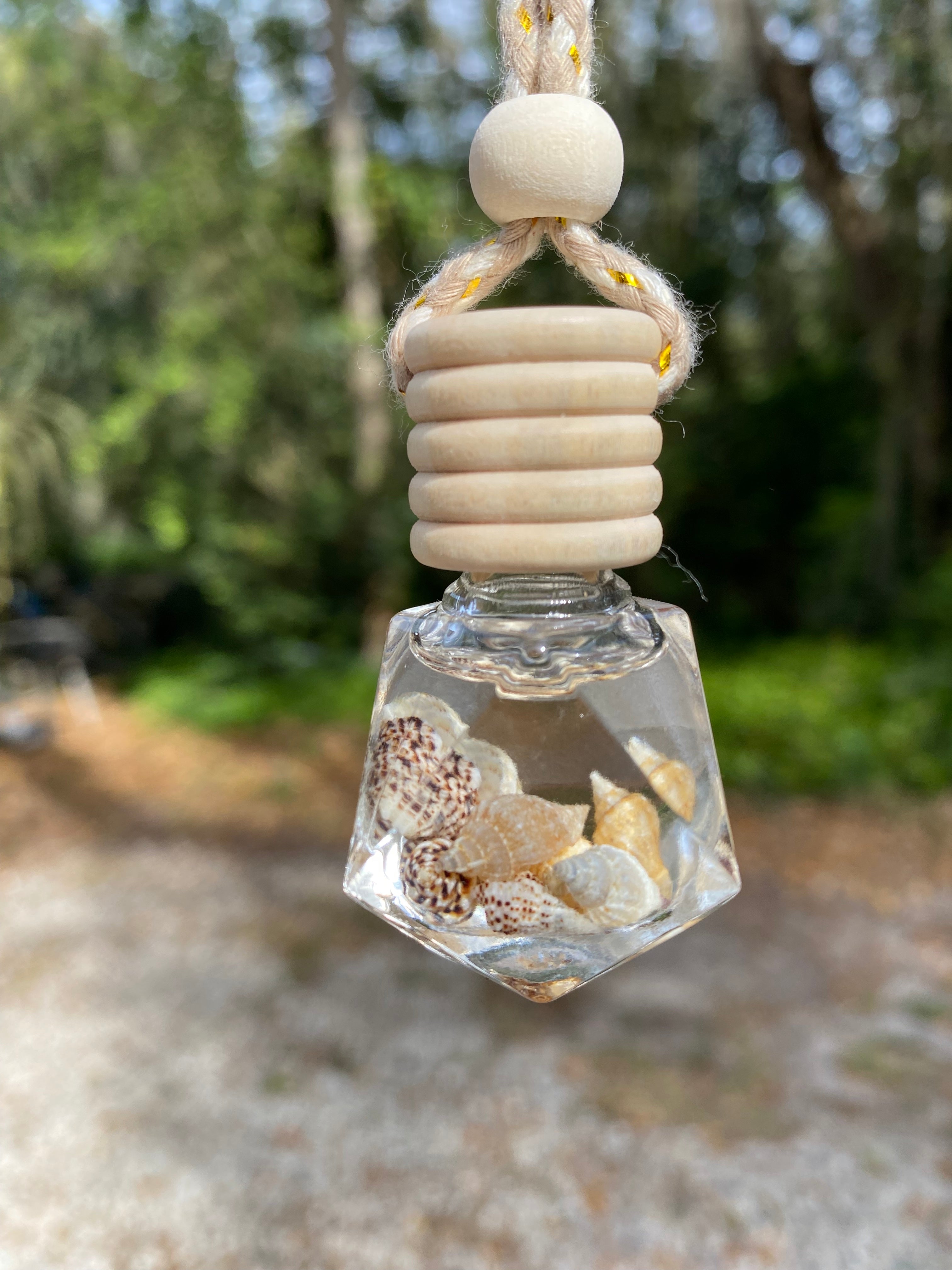 Shell Shine