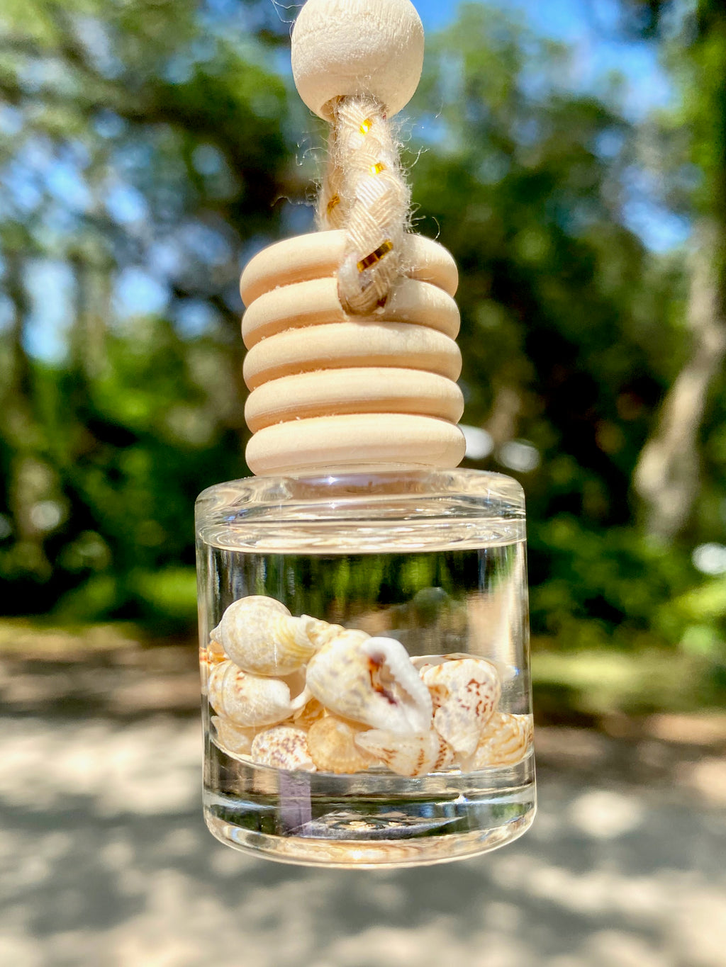 Shell Shine